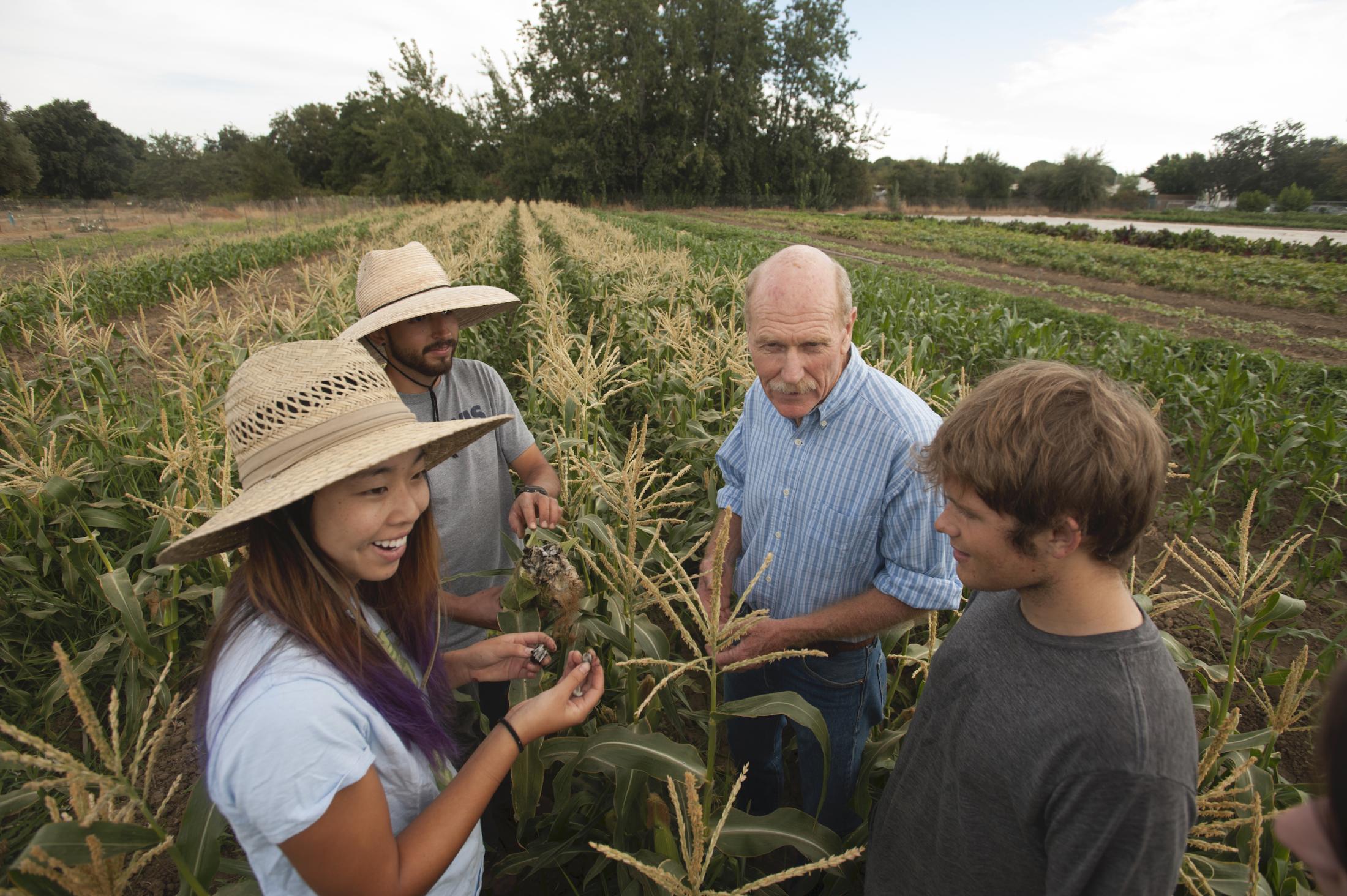 Four students talk to a professor outside in a field. Two of the students are wearing sunhats. Photo Credit: Gregory Urquiaga